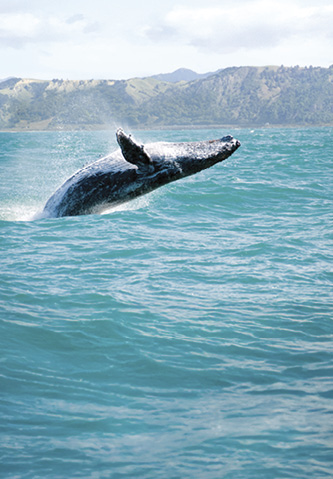 Alaska, 10 agosto 2026