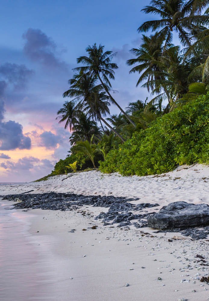 Navidad 2025 y Semana Santa 2026