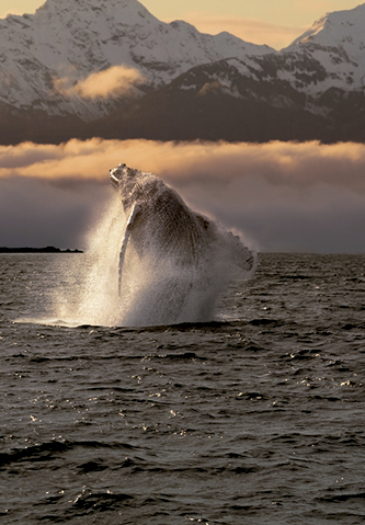 Alaska, 13 agosto 2026