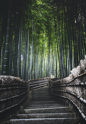 Japão e os seus Festivais, 5 Agosto